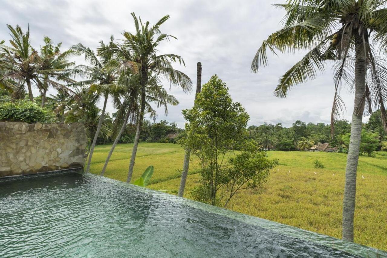Motama Villa Ubud Eksteriør billede