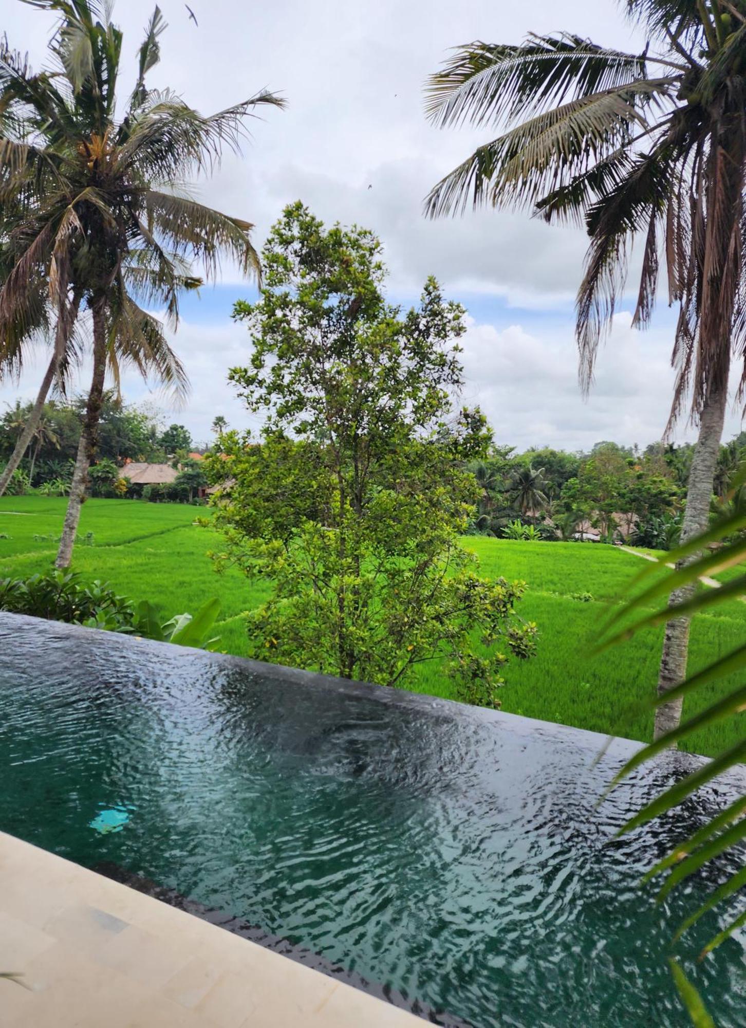 Motama Villa Ubud Eksteriør billede