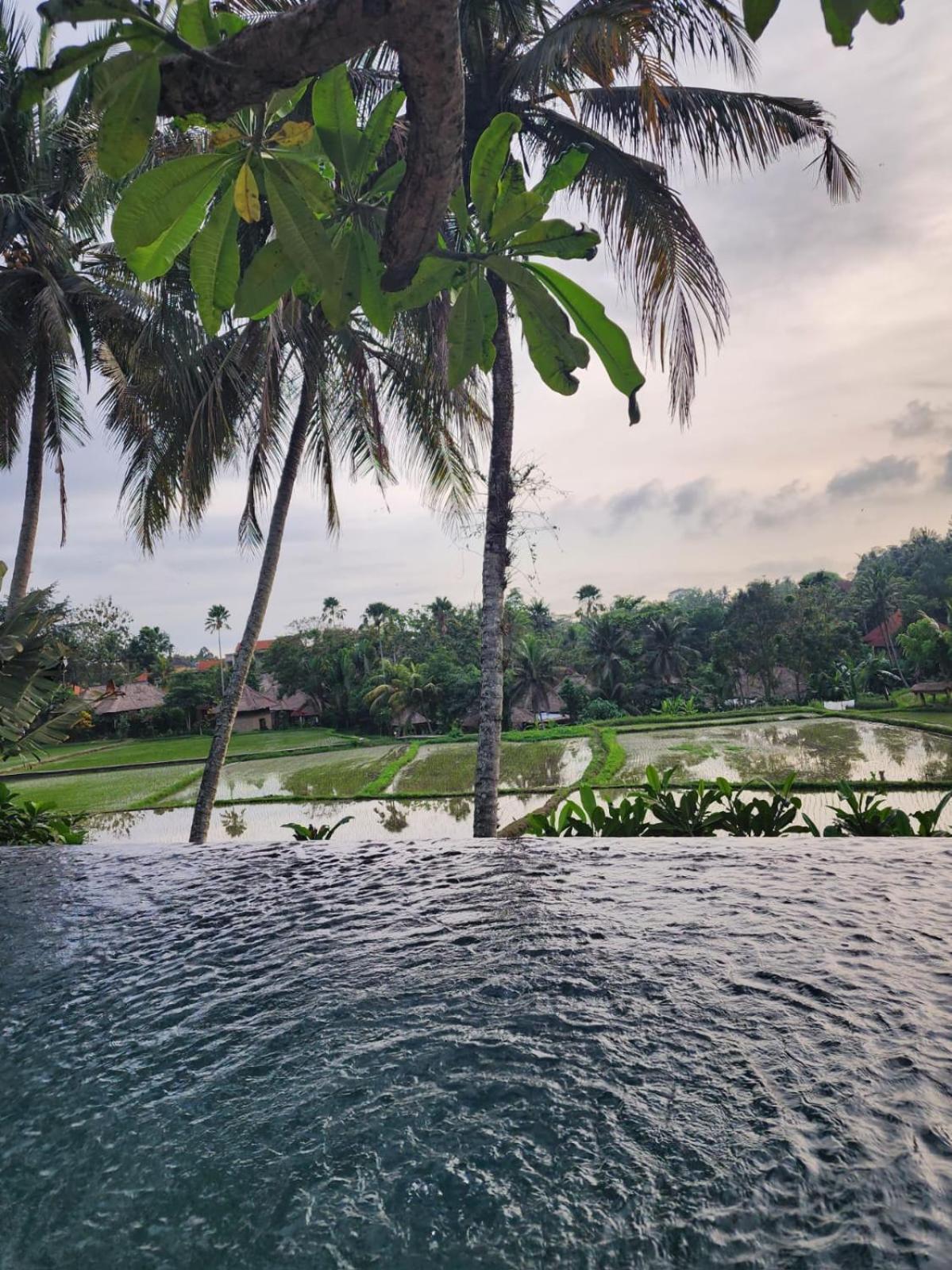 Motama Villa Ubud Eksteriør billede