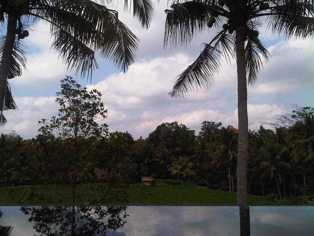 Motama Villa Ubud Eksteriør billede