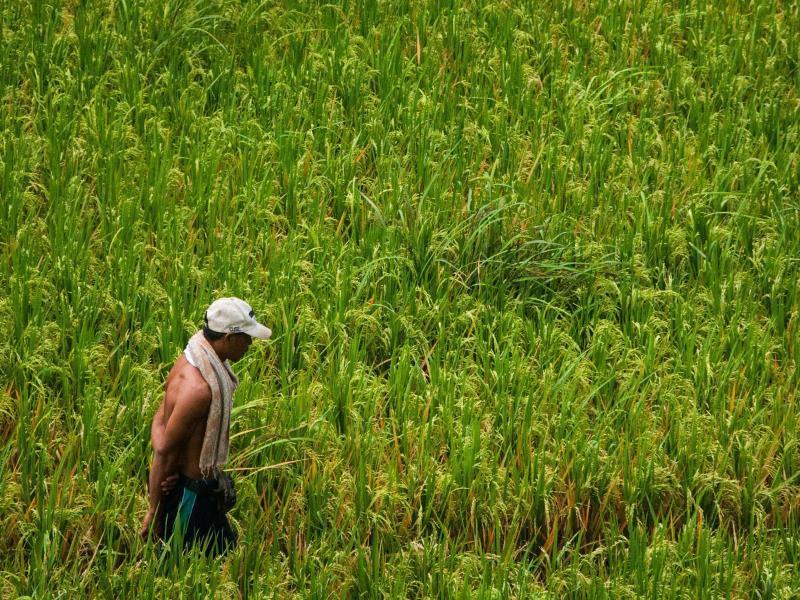 Motama Villa Ubud Eksteriør billede