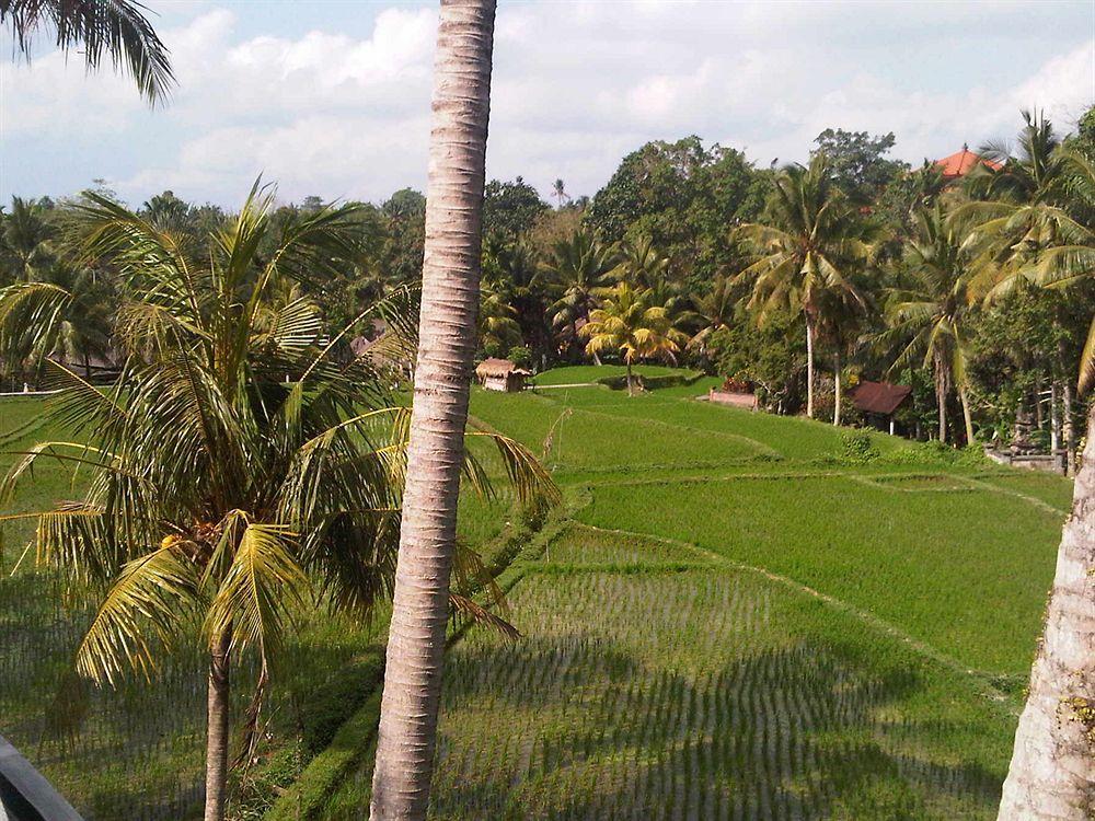 Motama Villa Ubud Eksteriør billede